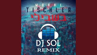 Bishvili DJ Sol Remix [upl. by Melany]