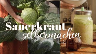 gesundes Sauerkraut einfach selber machen  nährstoffreich schnell günstig und lecker fermentiert [upl. by Lehcer311]