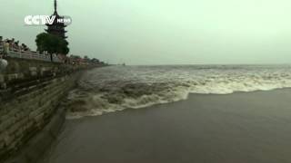 Tidal bore draws thousands to Qiantang River in China [upl. by Eirrot]