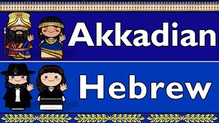 SEMITIC AKKADIAN amp HEBREW [upl. by Firahs842]