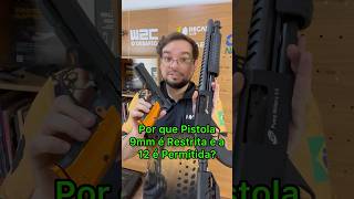 A VERDADE Por que 9mm tá Restrito e 12GA é Permitida shorts [upl. by Ignacius118]