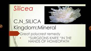 SILICEA HOMEOPATHIC REMEDYcomplete drug picture [upl. by Douglass]