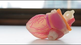 Artificial Organs The Future of Tissue Engineering 4 Minutes [upl. by Matland332]