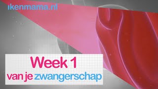 1 week zwanger Bekijk symptomen informatie over de echo en je kindje en je lichaam  ikenmamanl [upl. by Camp]