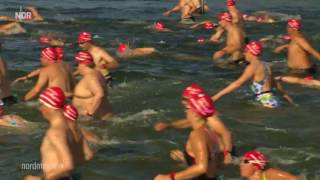 48 Müritzschwimmen am 05082017  Langstreckenschwimmen [upl. by Shirley732]