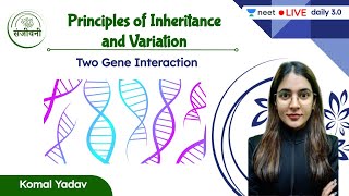 Two Gene Interaction  Principles of Inheritance amp Variation  L6  NEET 202223  Komal Yadav [upl. by Imoen]