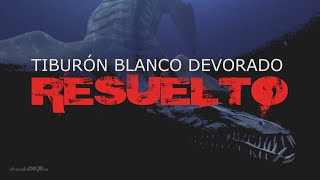 Tiburón blanco devorado en el océano misteriosamente RESUELTO  elmundoDKBza [upl. by Ennasil73]