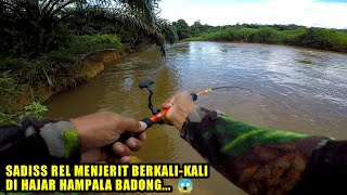 GAK NYANGKA ‼️ Sungainya Kecil Ternyata Disini Sarangnya Ikan Hampala Besar [upl. by Essiralc]