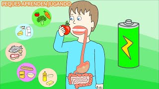 El sistema digestivo para niños Video del aparato digestivo y sus partes De PequesAprendenJugando [upl. by Oninotna22]