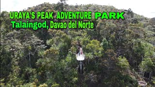 URAYAS PEAK ADVENTURE PARK  THE NEWEST TOURIST SPOT IN TALAINGOD DAVAO DEL NORTE  CINEMATIC SHOT [upl. by Sihon]