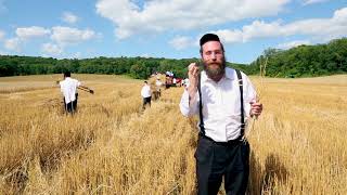 854 Pinchas How can we Farm for Shabbos [upl. by Aicilet]