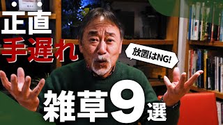 【そのままだと危険！】多くの人が悩む雑草問題！上手な付き合い方と対処法を初心者にもわかりやすく解説！【お庭】【植栽】 [upl. by Tiras336]