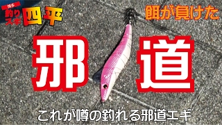 堤防エギング魚もイカも釣れる邪道仕掛け128話目 [upl. by Briney]