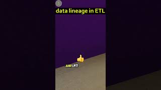 Data Lineage in ETL 📊 etl etl process in data warehouse datatechnology datamanagement [upl. by Rayburn]
