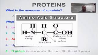 Screencast 2C Part 1  Amino Acid Structure [upl. by Elletsirhc478]