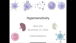 Immunology Fall 2023 Lecture 30 Hypersensitivity Part 1 [upl. by Cioban]