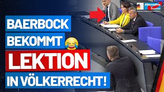 Baerbock bekommt Lektion in Völkerrecht  Petr Bystron  AfDFraktion im Bundestag [upl. by Knobloch312]