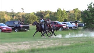 1000 Standardbred Race in Texas [upl. by Abbotsen]