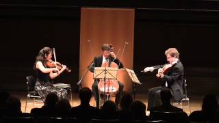 JSBach BWV 988  Goldberg Variations for String Trio [upl. by Aurilia]