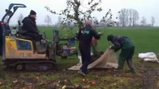 Fruitbomen rooien door loonbedrijfvankleefnl [upl. by Yanrahc]