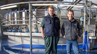 50 Point Rotary Milking Parlour Netherlands [upl. by Riess]