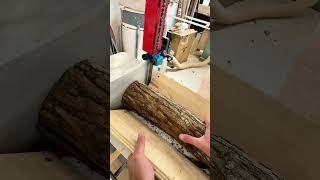 Safest approach for cutting live edge coasters [upl. by Sateia36]