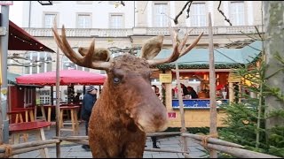 Weihnachtsmarkt in Kassel Gang über den Königsplatz und Friedrichsplatz [upl. by Ahsiuq]