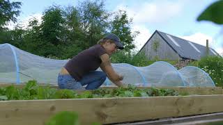 🔴 Gardeners World 2023  🍀This Impressive Kitchen Garden Grows 80 of Their Vegetables Using No [upl. by Golda777]