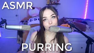 ASMR Intense Purring to Help You Relax 😴 [upl. by Fleisher]