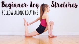 How to get Flexible Legs for Beginners [upl. by Nnylatsyrc]