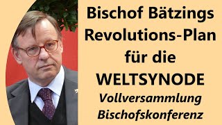 Synodaler Weg kommt mit voller Wucht zurück  VatikanGespräche völlig wirkungslos [upl. by Ahab]