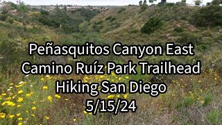 51524 Peñasquitos Canyon East from Camino Ruíz Park Trailhead Mira Mesa San Diego [upl. by Annayi]