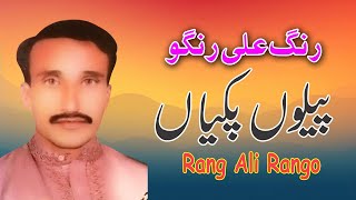 Pakiyan Peelon  Rang Ali Rango  Saraiki Punjabi New Song [upl. by Amiel]