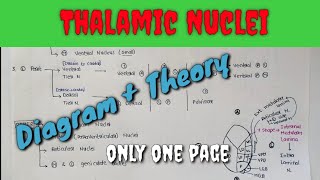 Thalamic Nuclei1  Name of thalamic Nuclei  Diagram only in one page [upl. by Blank284]