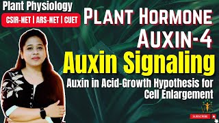 Plant Hormone Auxin Part 4 Mode of Action  Auxin Signaling  F Box Protein  CSIRNET [upl. by Nonregla]