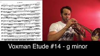 TMEA 20182019 Voxman Etude 14  g minor [upl. by Yendyc]