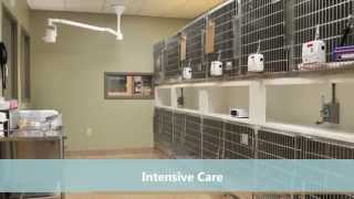 Winslow Animal Hospital Tour [upl. by Akihdar]