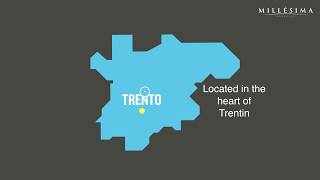 Video Tutorial – VIGNETI DELLE DOLOMITI  TRENTINO ALTO ADIGE [upl. by Saenihp]