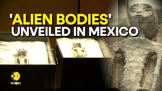 MEXICO UAP HEARING Remains of nonhuman beings showcased at UFO hearing  WION Originals [upl. by Mckeon]