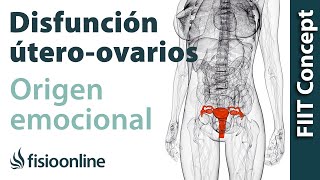 Origen emocional de la disfunción de útero  ovarios [upl. by Acinoed]