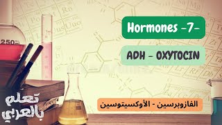 The HypothalamicPituitary Axis hormones 3 ADH Oxytocin  هرمونات المحور الوطائي النخامي [upl. by Sanjay]