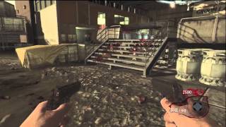 Moon No Mans Land 244 kills solo  Pool strategy  Black Ops Zombies [upl. by Zigrang]