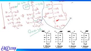 Carbohydrate Chemistry Part 2 [upl. by Adlesirg]