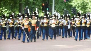 Netherlands Royal Military Band Waterloo 200 parade London [upl. by Ferdie]