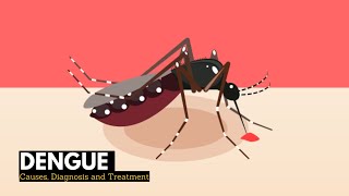 What is Dengue Causes Signs and Symptoms Diagnosis and treatment [upl. by Dianne492]