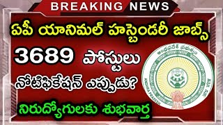 ఏపీ యానిమల్ హస్బెండరీ అసిస్టెంట్ జాబ్స్ 2024  ap aha jobs latest updats today 2024  AP Jobs 2024 [upl. by Schindler]