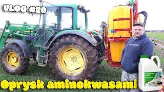 Na Wesoło Pierwsze Opryski z Tatą ☆ Vlog20 Polskie Aminokwasy ☆ Pszenżyto [upl. by Ranice]