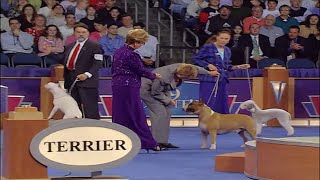 2005 AKCEukanuba National Championship Terrier Group Final [upl. by Mapel939]