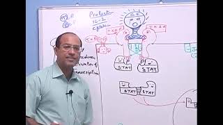 Receptors amp Intracellular Signaling  Dr Najeeb Lectures  Part 4 [upl. by Llerred]