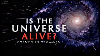 The Living Universe  Documentary about Consciousness and Reality  Waking Cosmos [upl. by Cichocki]